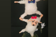 starkes Lämmerduo