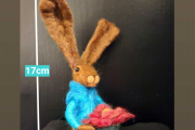 kleiner Hase