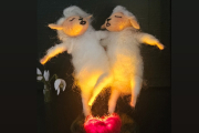 Freunde mit Licht