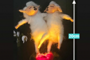 Freunde mit Licht