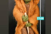 der Grüne von Draußen